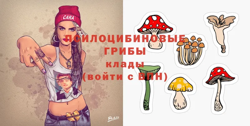 хочу наркоту  Белозерск  Галлюциногенные грибы Magic Shrooms 